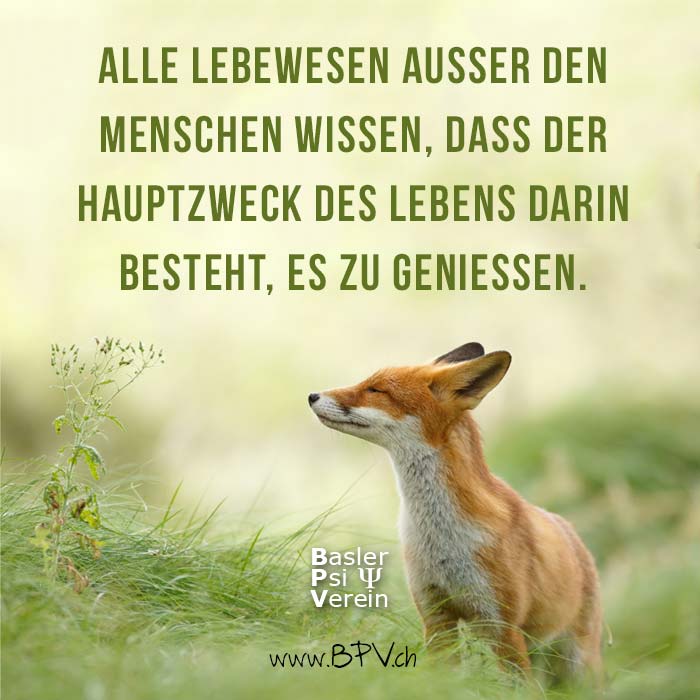 https://www.facebook.com/PsiVerein?fref=ts
